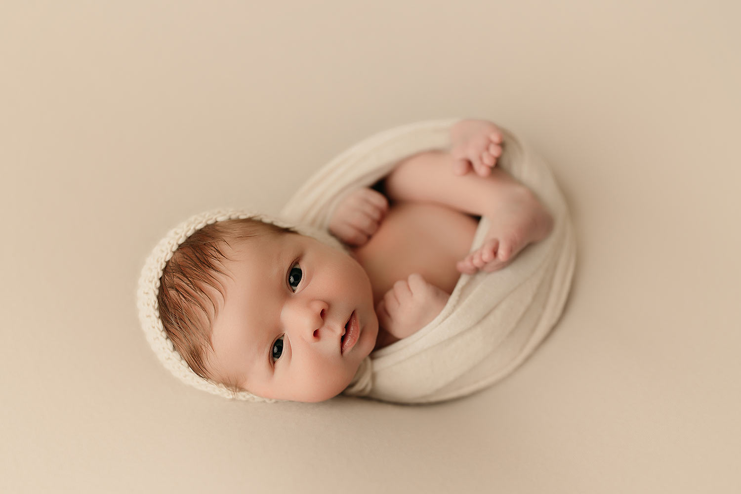 best orlando newborn photographers best orlando newborn photographers