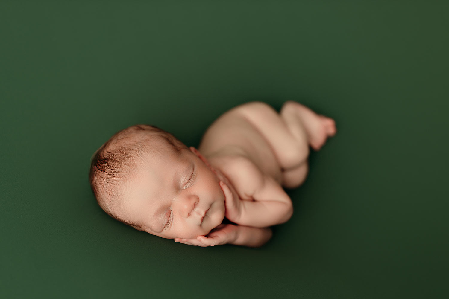 orlando newborn photographer review dairlyn orlando newborn photographer review dairlyn