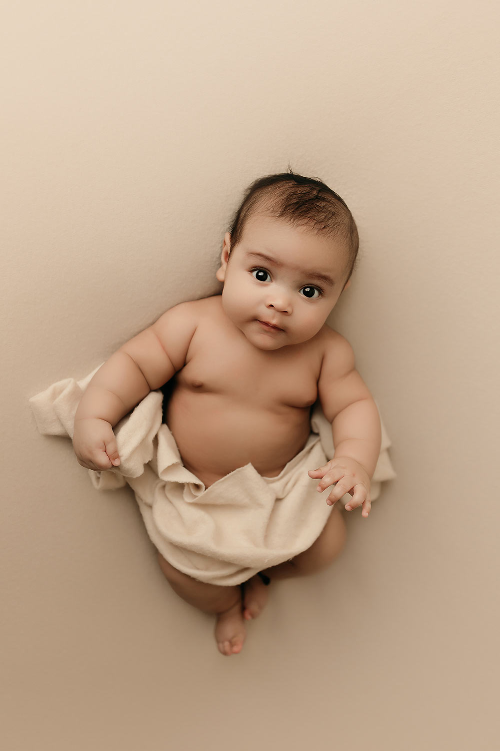 avalon park fl baby photography avalon park fl baby photography