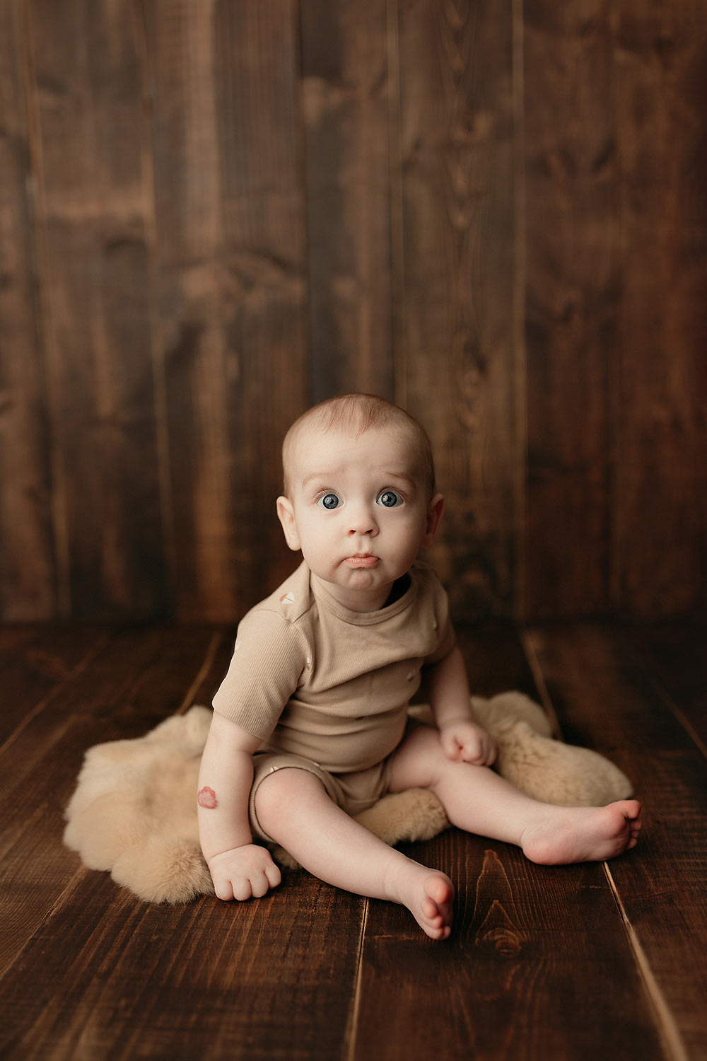 winter park fl baby photographer winter park fl baby photographer