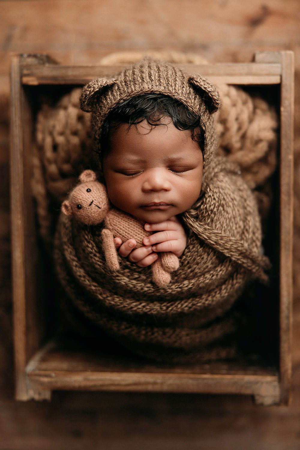 orlando newborn photographer prop bear orlando newborn photographer prop bear